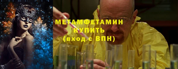 крисы Новозыбков