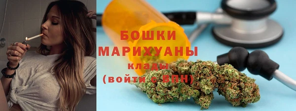 крисы Новозыбков