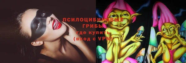 PSILOCYBIN Новокубанск