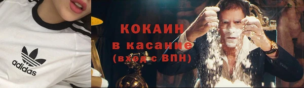 крисы Новозыбков