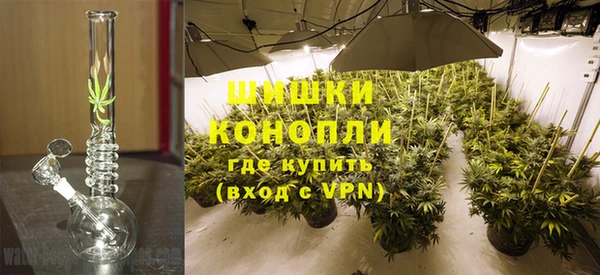 PSILOCYBIN Новокубанск