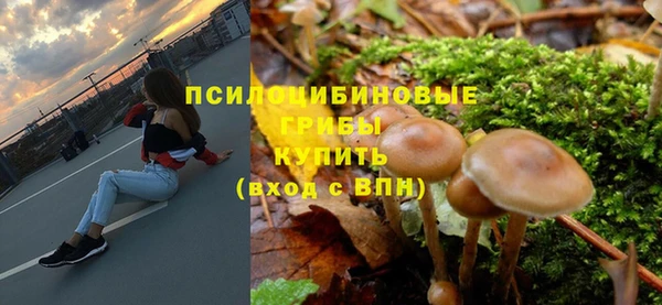 ALPHA PVP Нягань