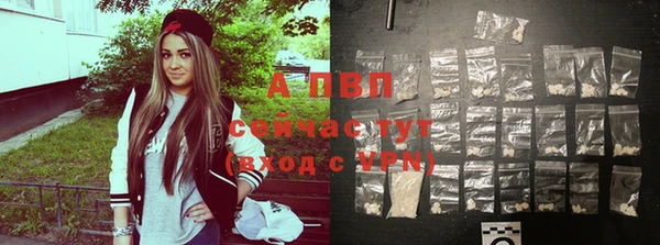 PSILOCYBIN Новокубанск
