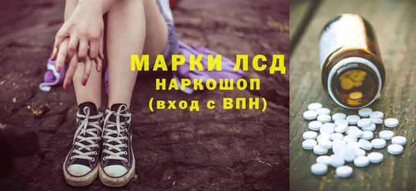 крисы Новозыбков