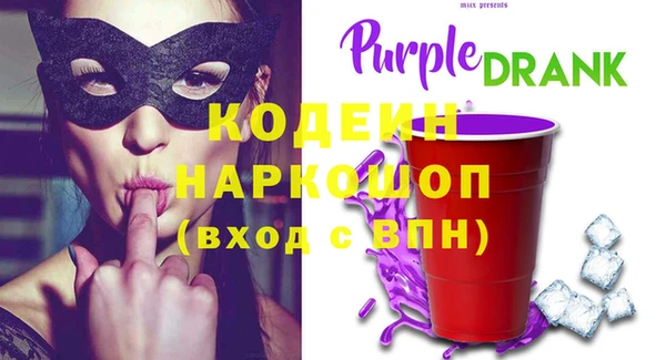крисы Новозыбков