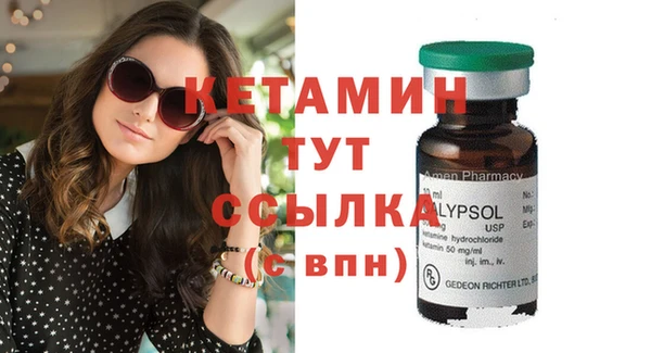 крисы Новозыбков